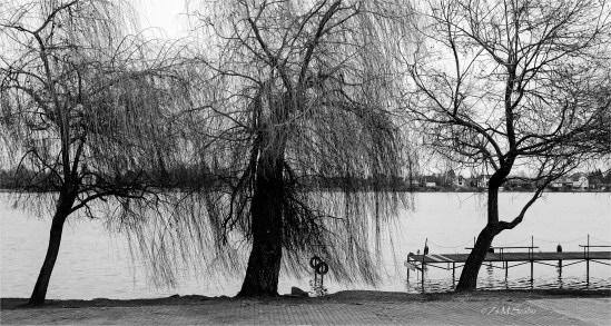 DSCF1287-1_BORDER_U8